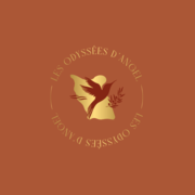 Les Odyssees d'Angel Logo_180